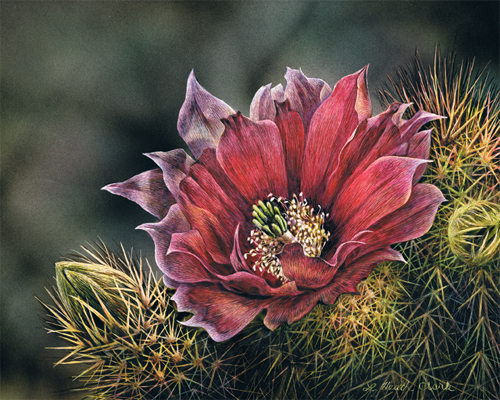 Desert Color, Acrylic on Scratchboard