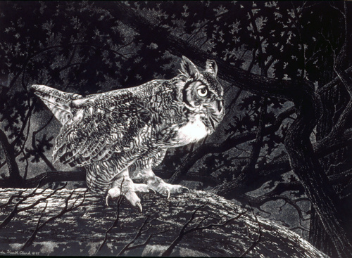 Great Horned Owl and Mouse: Scratchboard