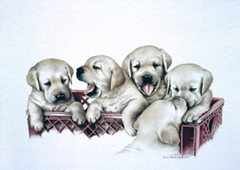 Basket of Labs: Watercolor