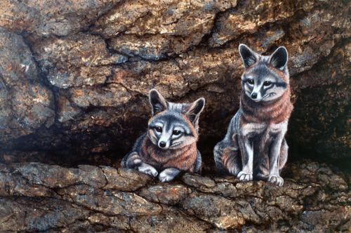 Two Young Foxes: Scratchboard